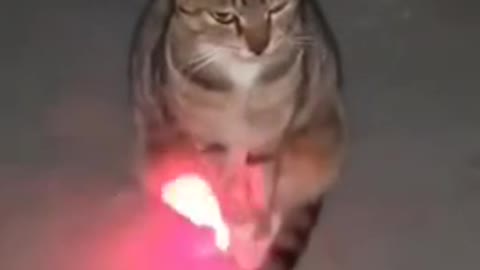 Он один всё понял