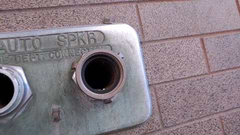 Bird Pops Out of a Pipe And Startles Videographer