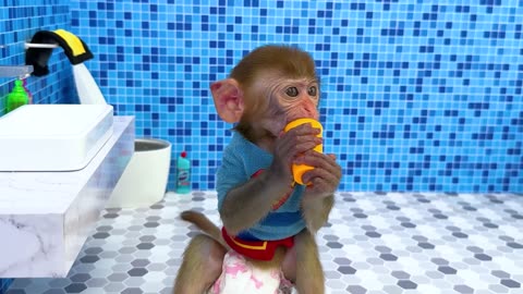 Monkey Baby Bon Bon eats Watermelon Jelly with puppies and bathes with ducklings in the bathroom