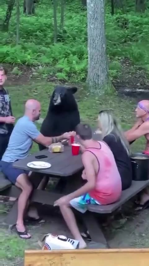 Bear Joins the Party, Eats peanut butter sandwich
