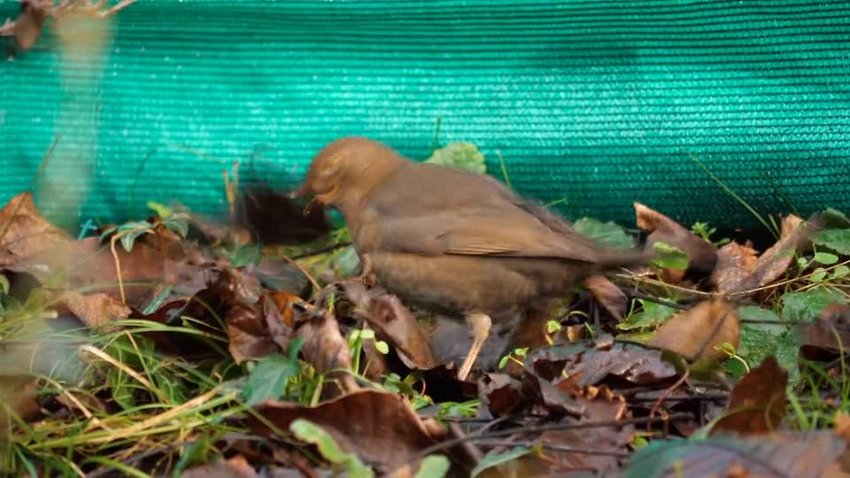 river-water-field-landscape-nature