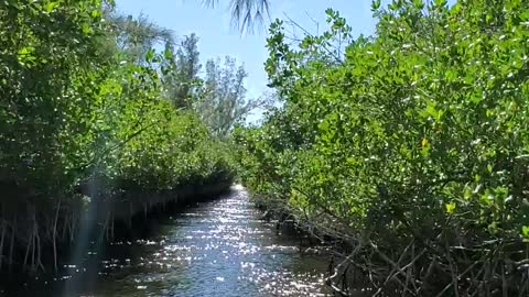 Everglades Airboating