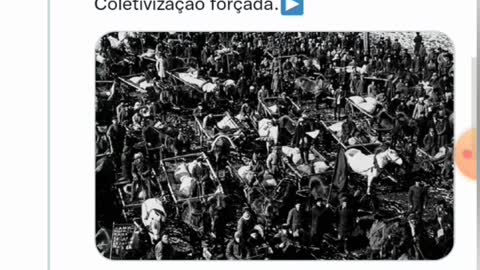 Violência socialista