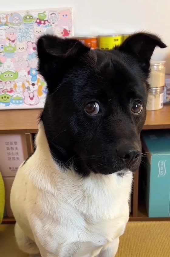 Better looking than our current prime minister 😍