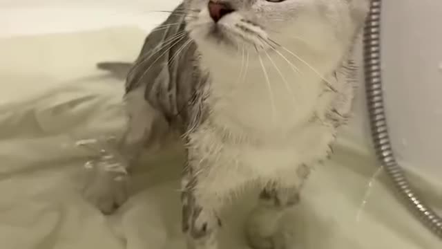 takes a bath for the first time