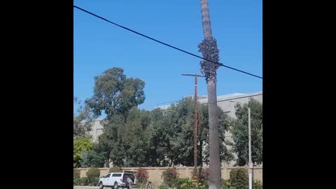All Wired Up?