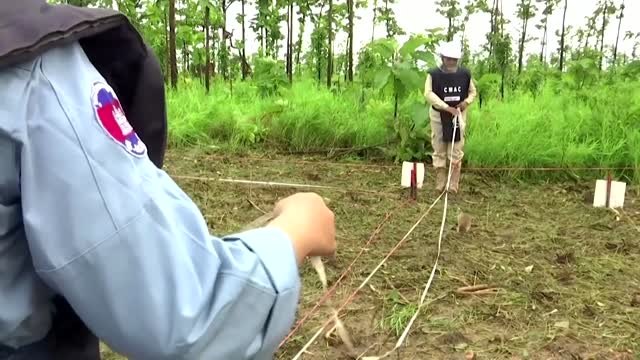 Cambodia's new batch of landmine-sniffing rats