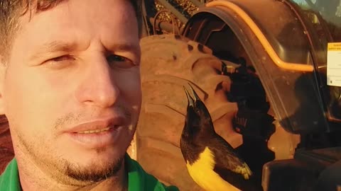 Man Makes a Friend with Beautiful Sparrow