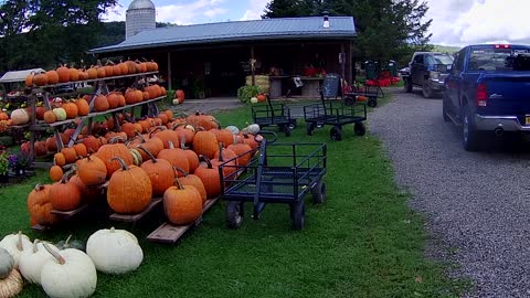 Farmstand fall 2022