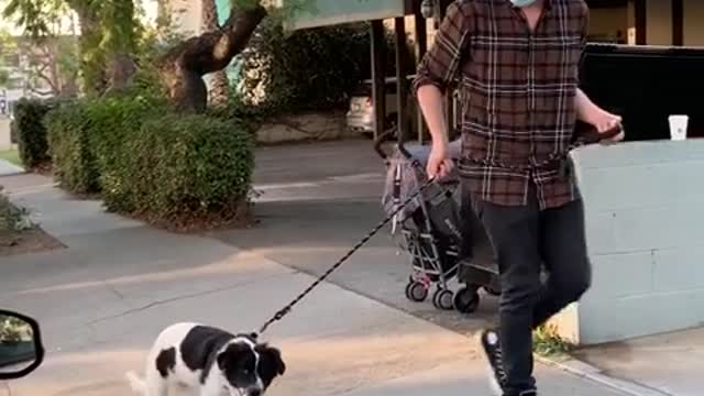 Do you think you would've noticed- (FOR ENTERTAINMENT PURPOSES ONLY)