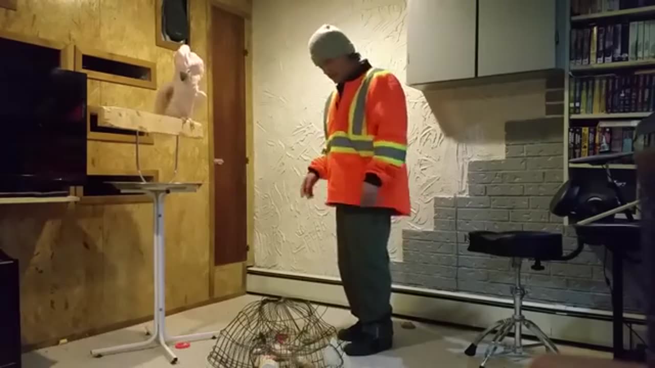 Well Now You Have Pissed Him Off!