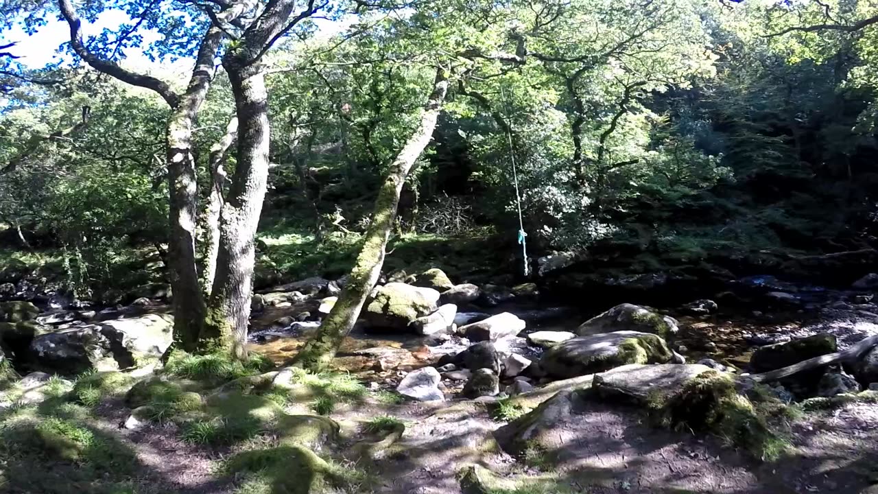 Shaw Prior Sight and sounds Devon Dartmoor area Britain