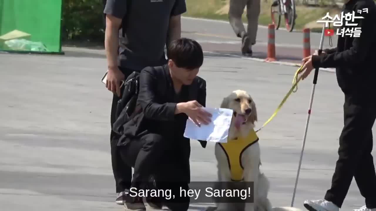BEST Korean Pranks GUARANTEED To Make You LOL 😂