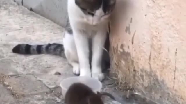 quando os papeis são invertidos