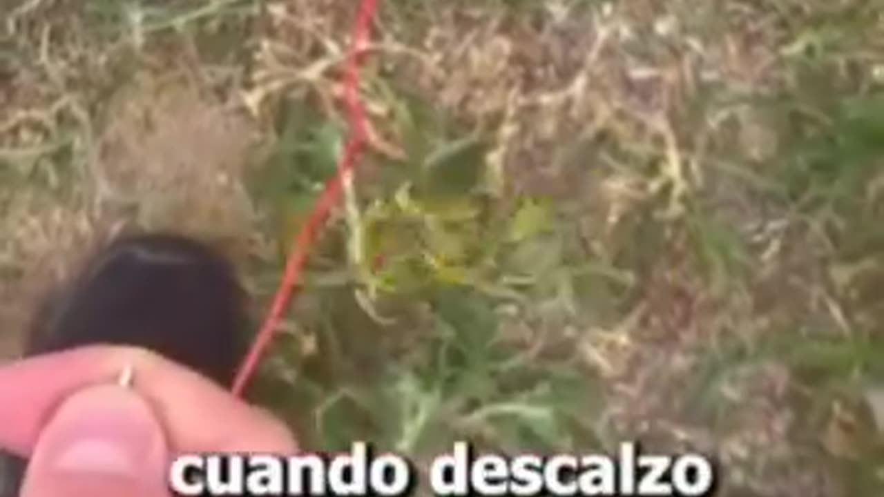 GROUNDING Y SUS BENEFICIOS