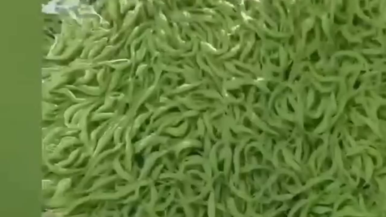 Satisfying videos