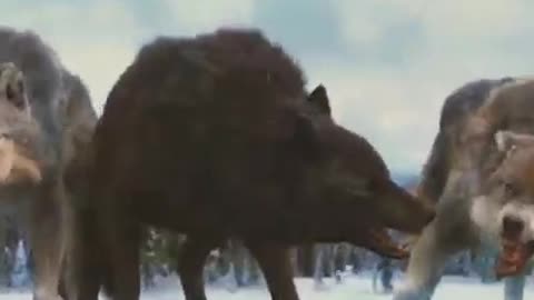 Hollywood Action movie Best scenes