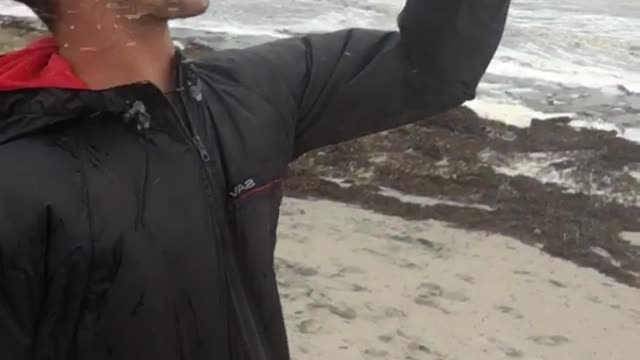 Man drinks bud light in windy day