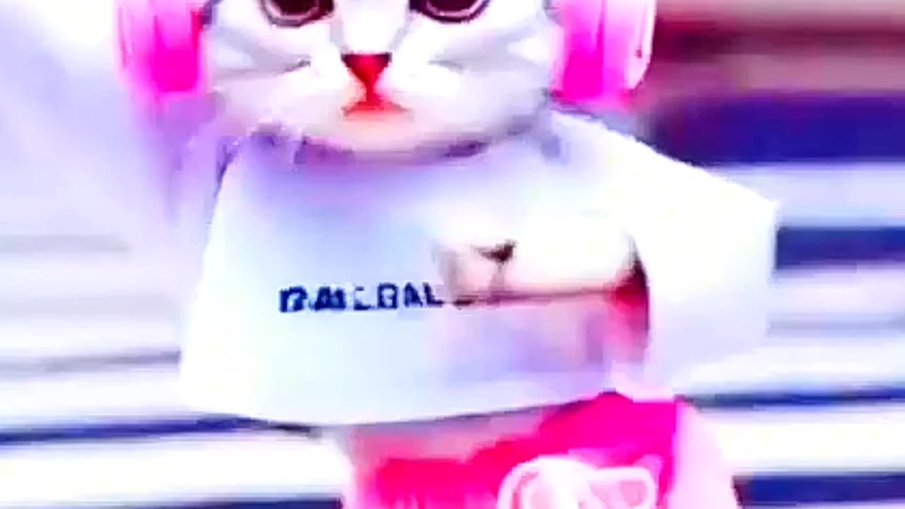 dancing cat //cat dancing video