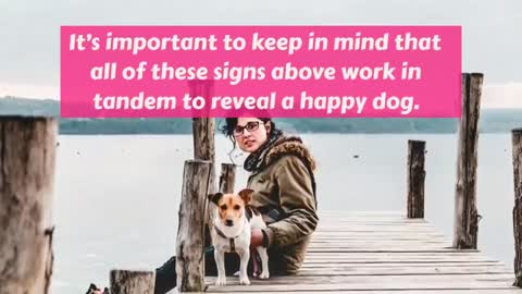 Here's what you need to know about your dog || Happy or Sad Dog