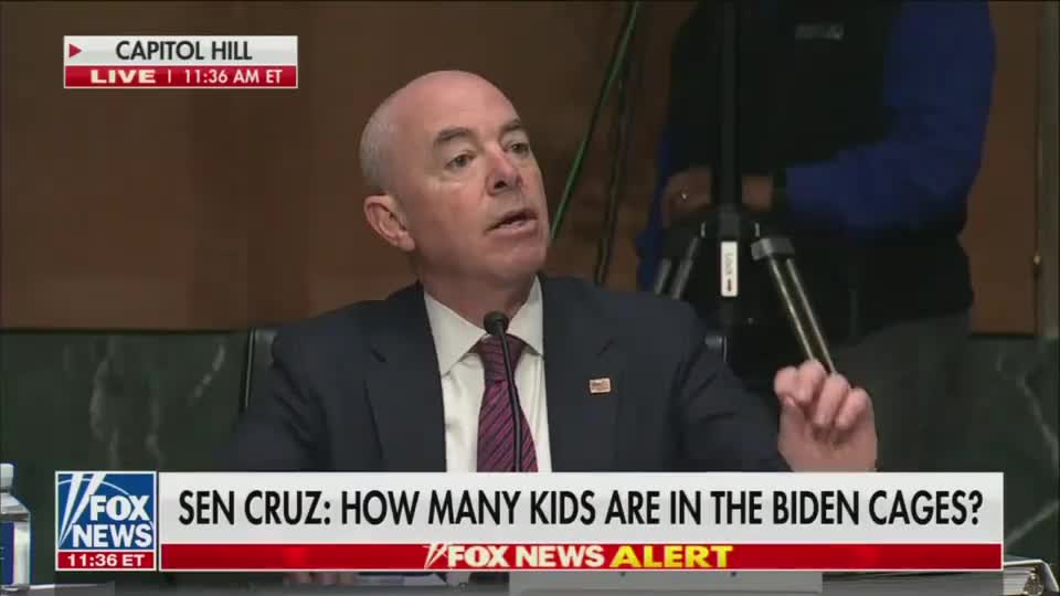 Biden Cages: Ted Cruz Goes Beast Mode,Turns HHS Secretary Mayorkas Into A Stammering Mess