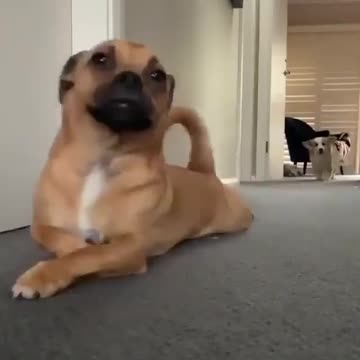 Can someone tell me why he is doing this?