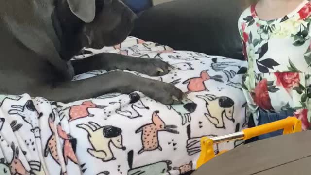 When you just need some puppy kisses