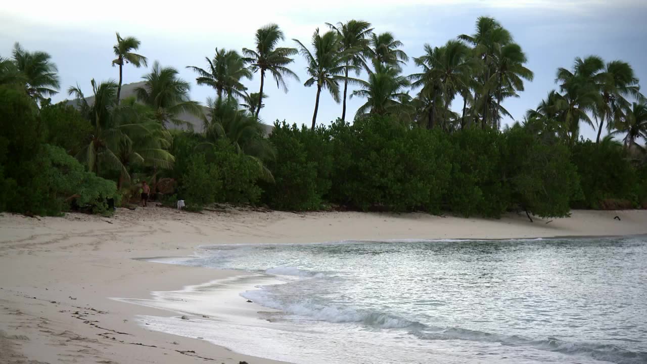 Robinson S17E09