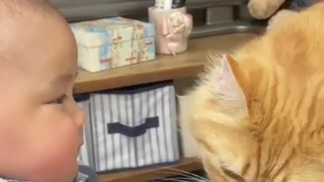 Subscribe to our channel here