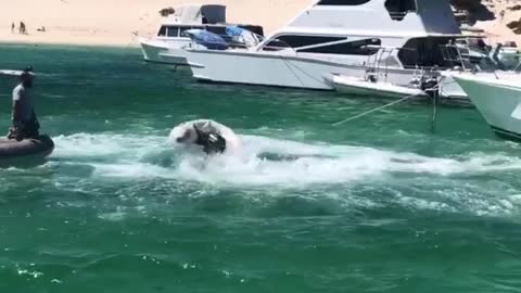 Runaway Boat Struggles to Be Caught