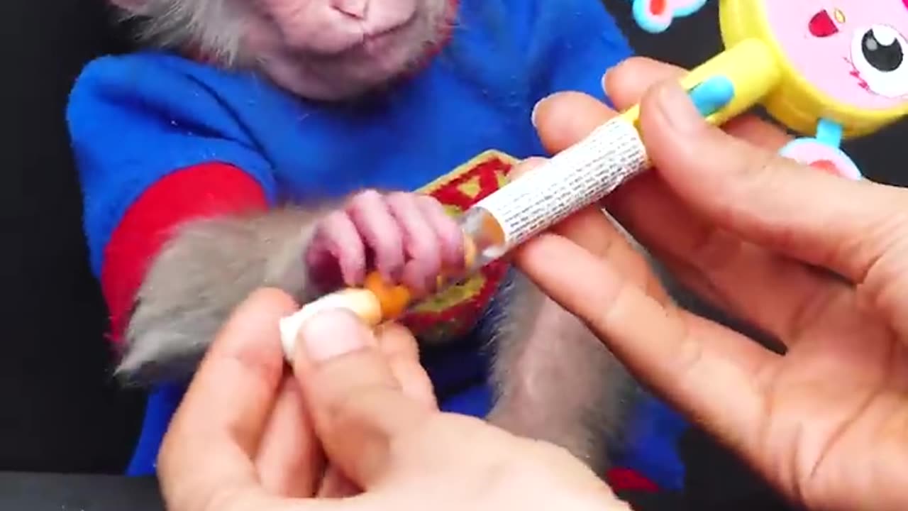 Jolly baby monkey with lollipop candy