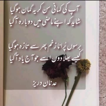 Adnan Durez ka Dewan