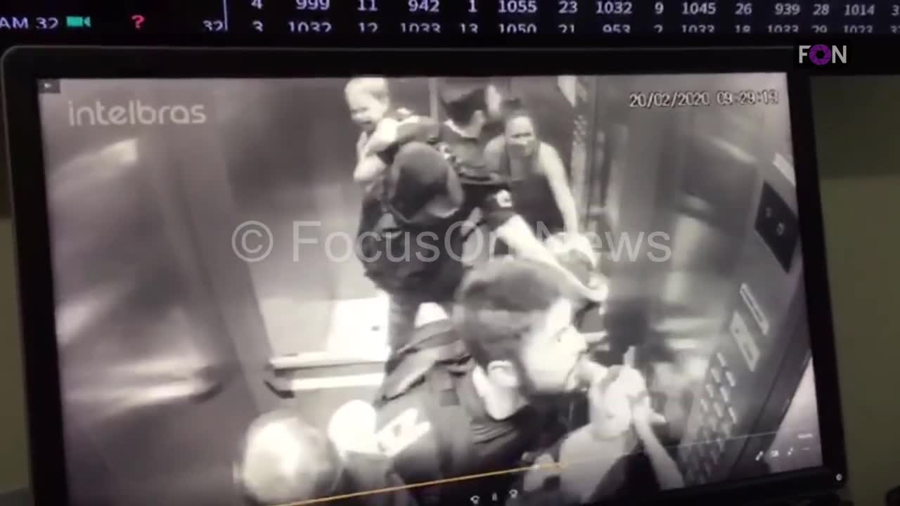 pitbull attacks child in elevator.