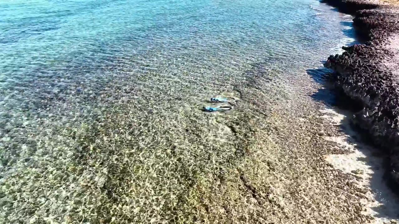Catching Giant Lobsters For Food On Remote Island