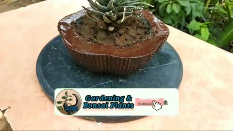 CEMENT CRAFT IDEAS | Make a Beautiful Cement Pots at Home | Easily Cement Flower Pots