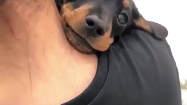 put your head on my shoulder
