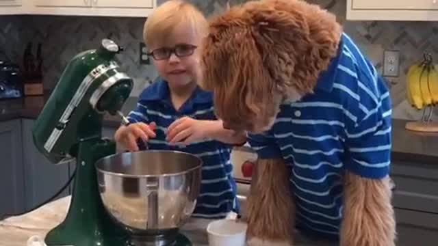 Little boy and his tan dog in matching blue shirts make cookies together