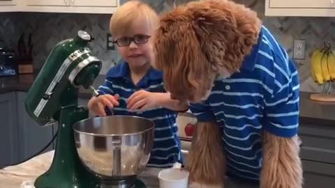 Little boy and his tan dog in matching blue shirts make cookies together