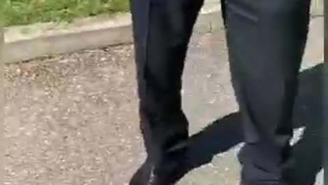 SCERIFFO PETTINATO