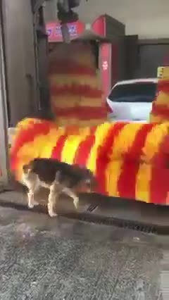 ( -0060 ) Smart Is Using Opportunities Wisely