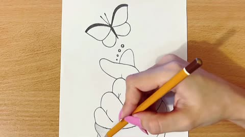 Butterfly drawing