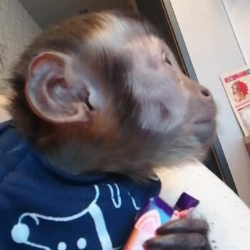 Мирон и конфета