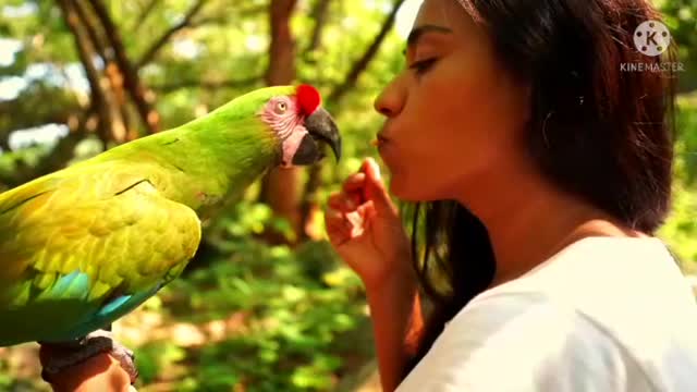 Watch how these ladies are feeding the cute parrot.