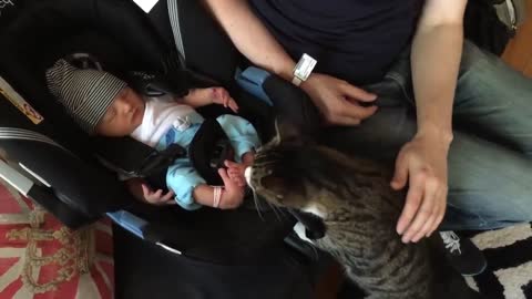 When cat meets baby