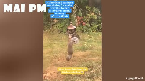 Grin and Laugh at these Funny Animals