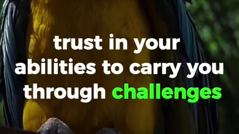 ⚜️Trust Your Wings - Overcoming Challenges with Confidence