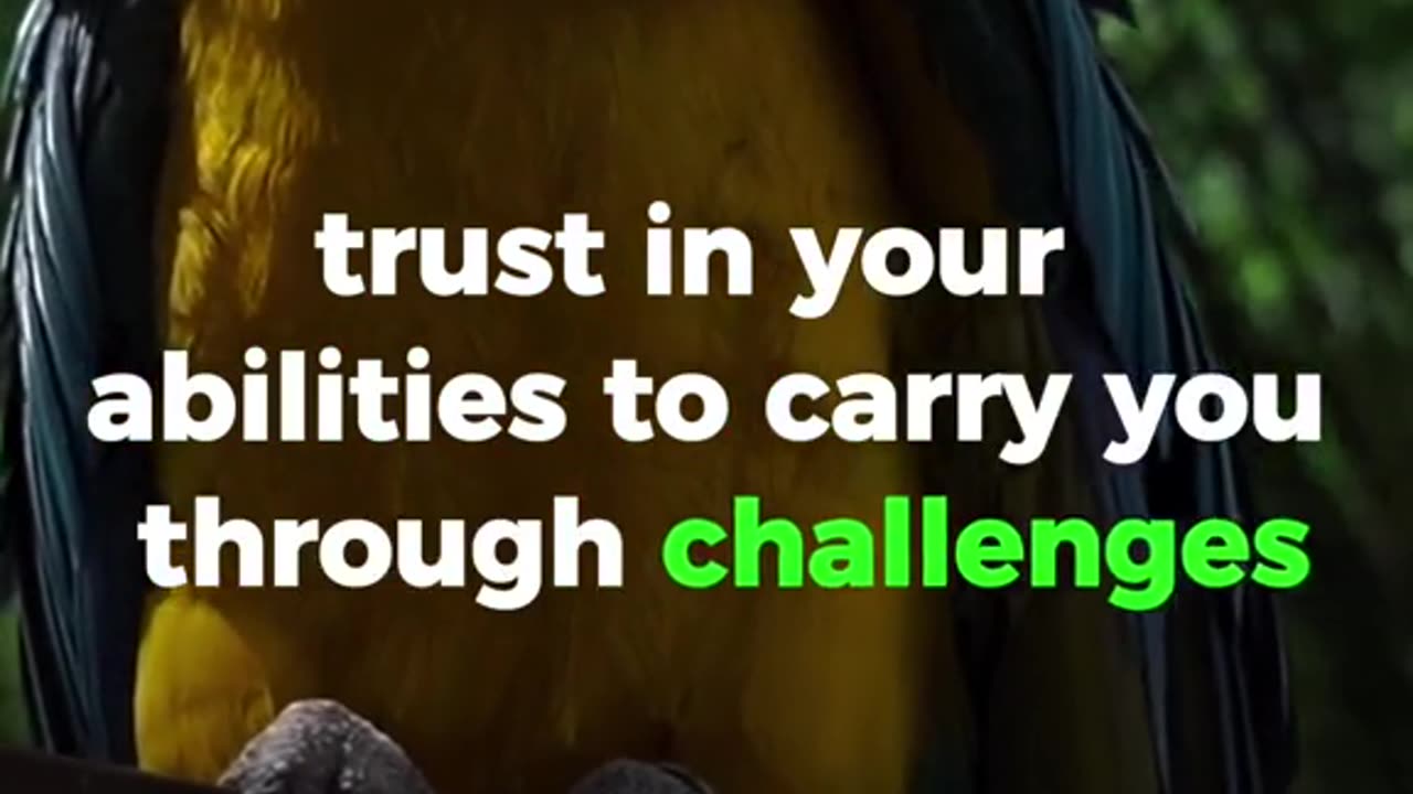 ⚜️Trust Your Wings - Overcoming Challenges with Confidence