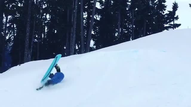 Collab copyright protection - guy blue jacket faceplants snow