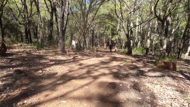 Camel Farm To The South Ledge