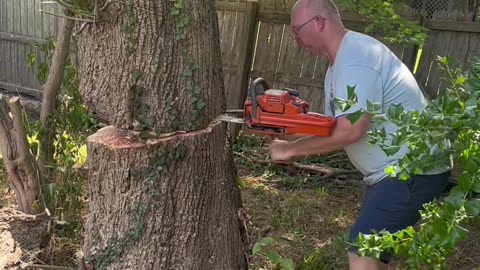 Tree Felling Fail Smashes Neighbor's Fence